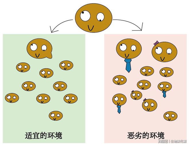 酵母馴化革命:不完全啤酒指南