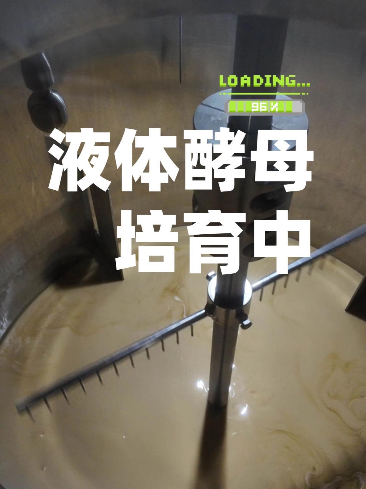液體酵母擴培實拍 精釀啤酒釀造的活力之源