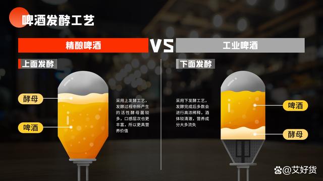2022年最值得品嘗的16款好喝啤酒「精釀啤酒推薦清單」